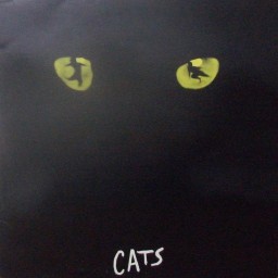 CATS - THE MUSICAL